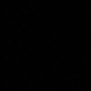 Meet your Posher, Guillermo